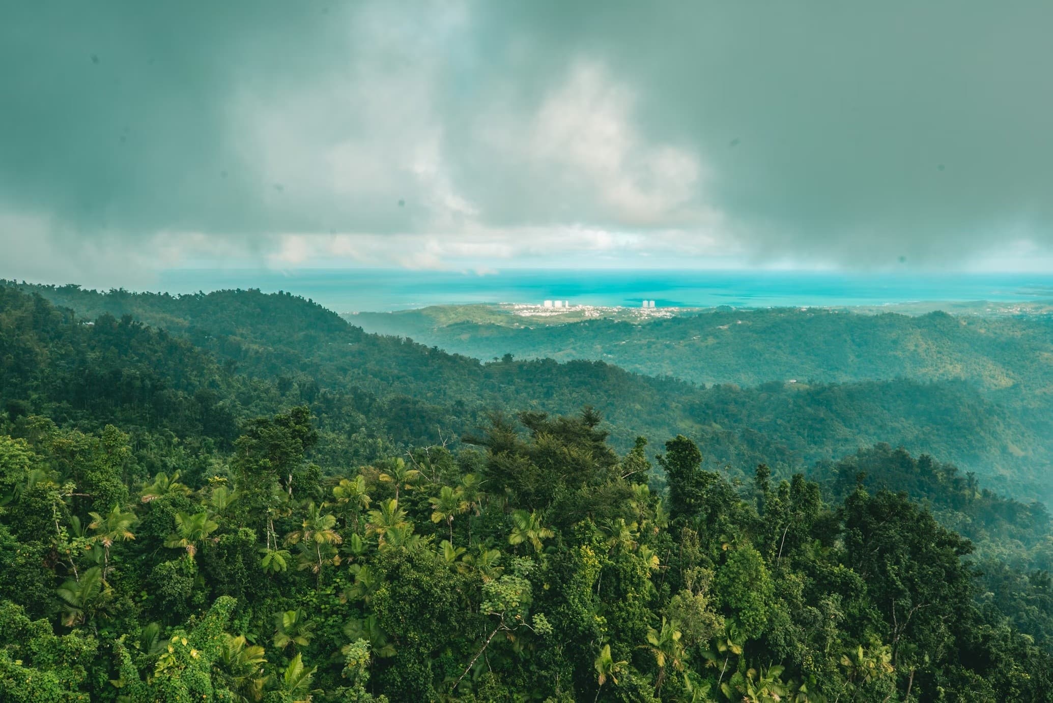 Drive the Rainforest: Guided Can-Am and Jeep River Adventure Near El Yunque