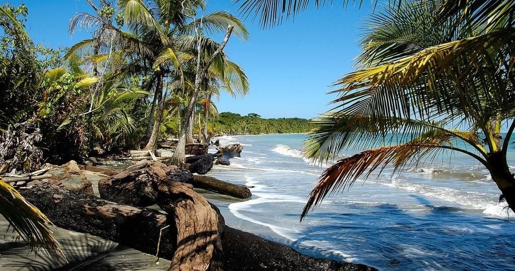 Pura Vida Beach Experience: Premium Beach Setup, Drinks & Appetizers Near Dover