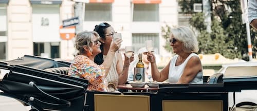Experience Vienna’s Historic Streets with the Riding Dinner Fiaker Tour