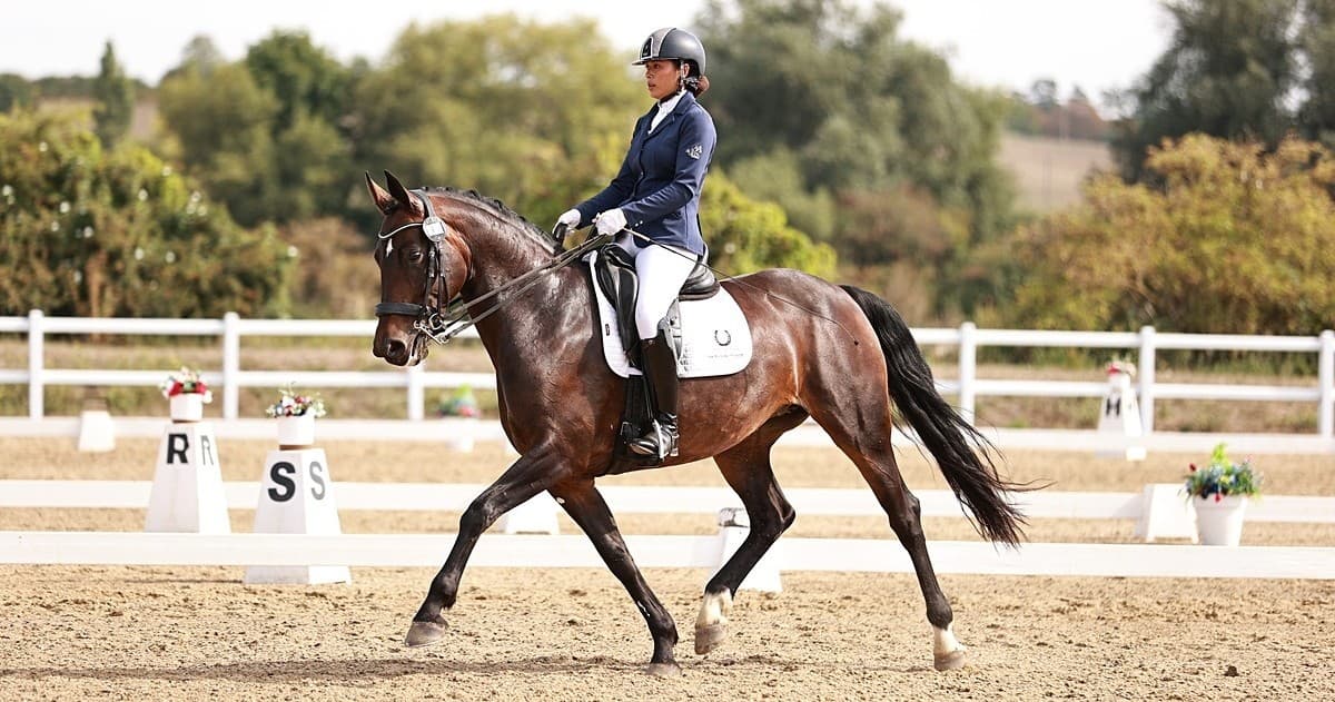 Fast-Track Your Riding: 30-Minute Private Lesson With Scarlett in Sway