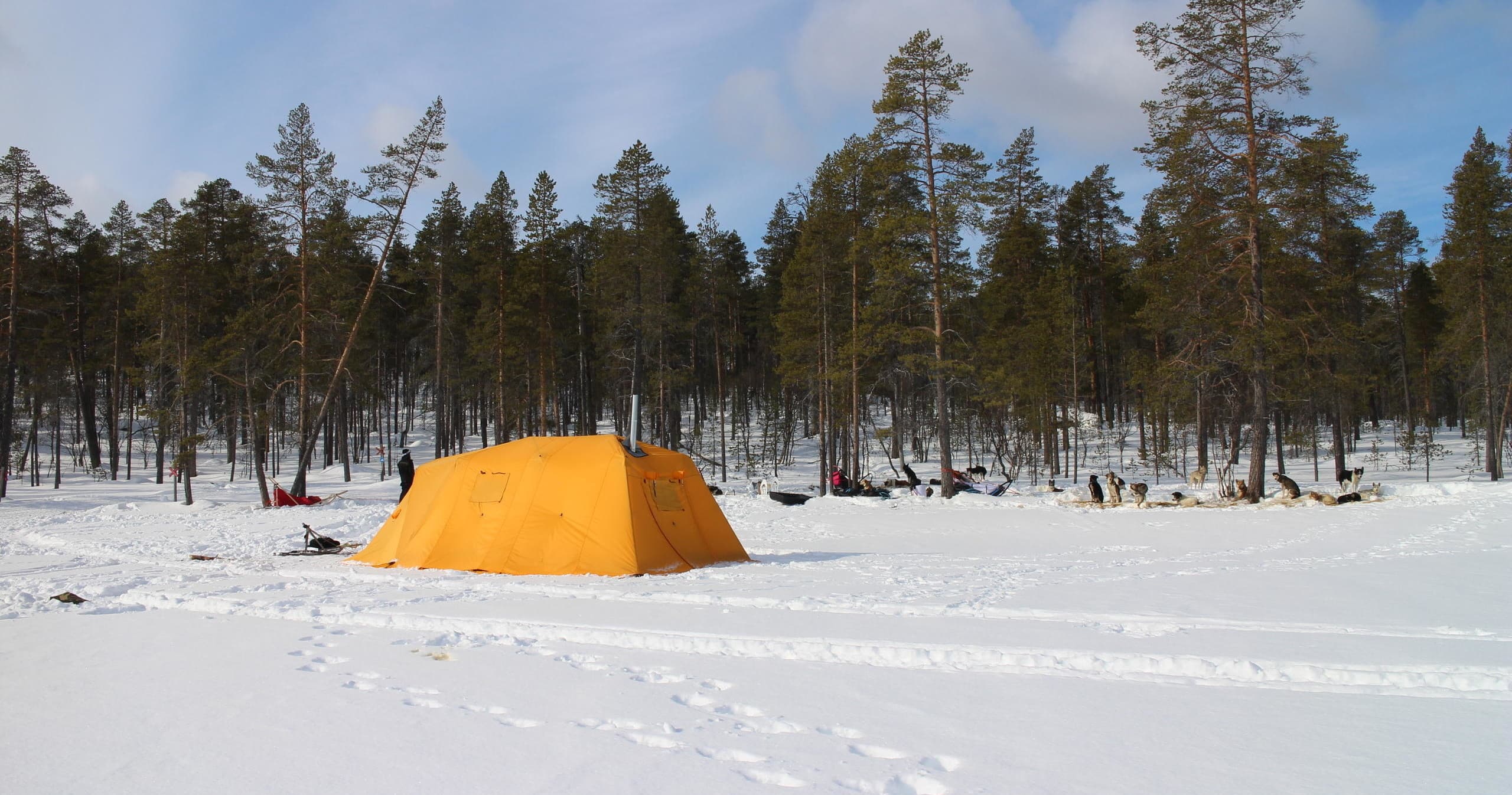 Experience the Ultimate Overnight Husky Safari in Finland’s Arctic Wilderness