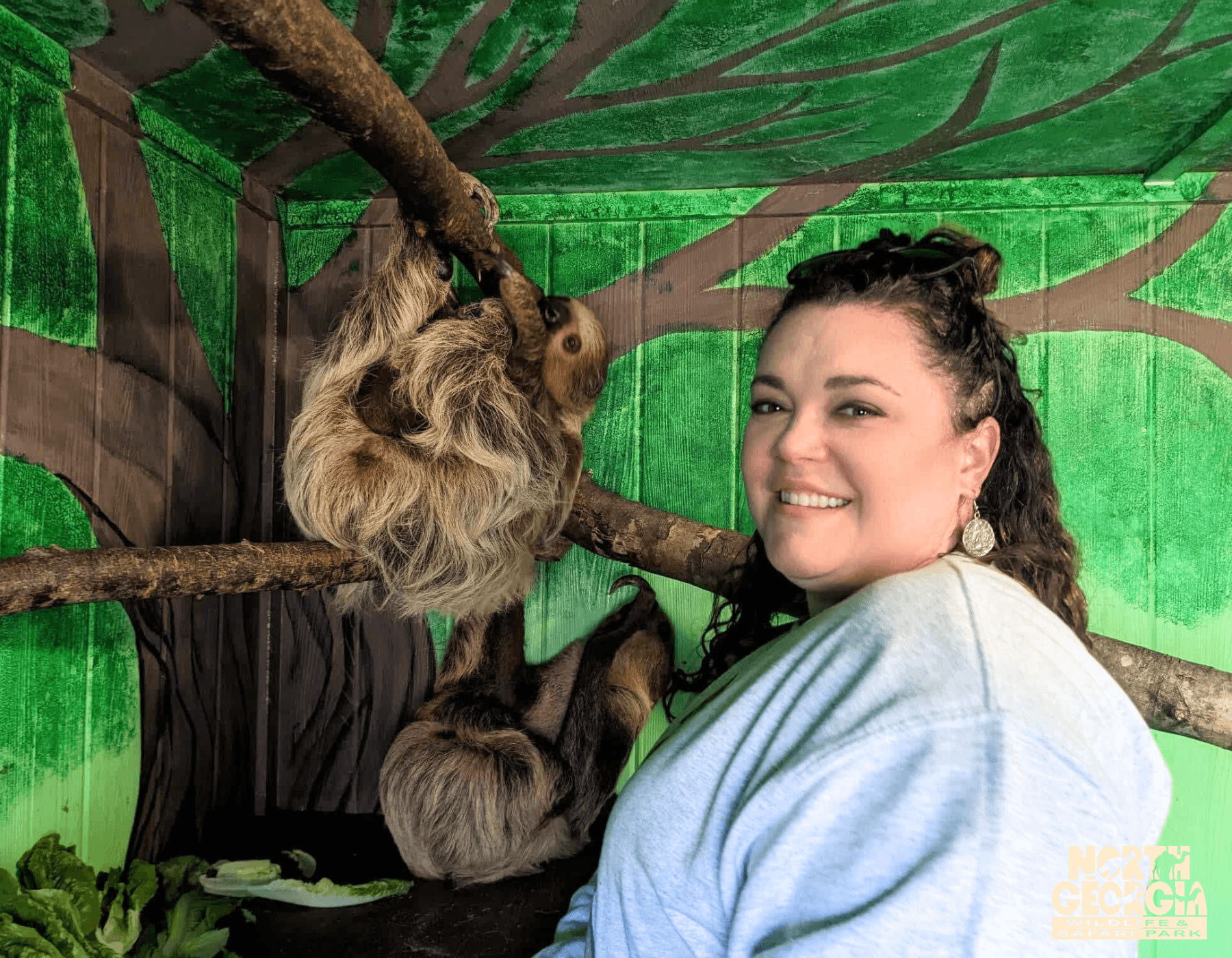 Sloth Meet & Greet Experience in Cleveland, Georgia