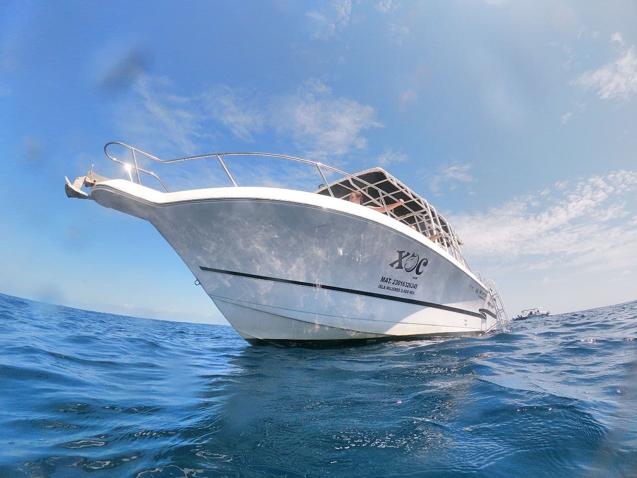 Private Whale Shark Tour in Cancun with Whale Shark Tour Cancun