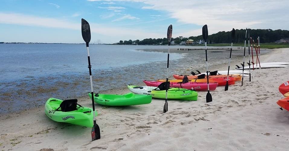 Beach kayaks lined on sandy shore ready for guided eco trips