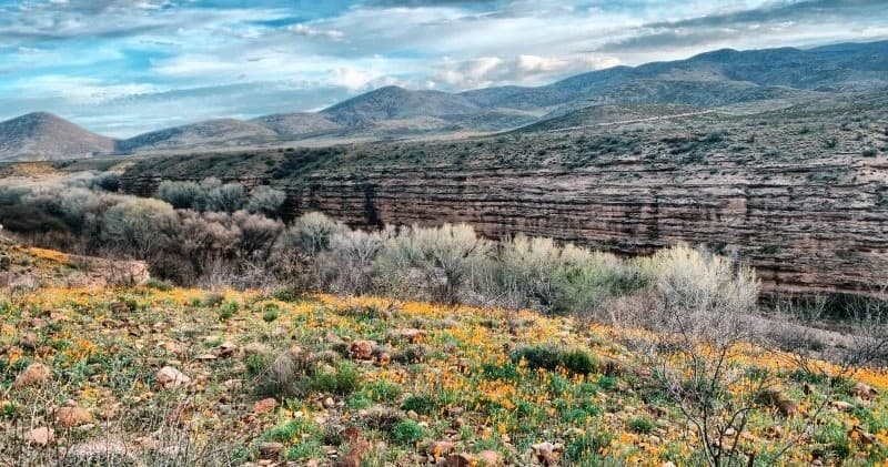 Paddle the Lower Gila Box: 4-Day Family River Trip from Safford, AZ