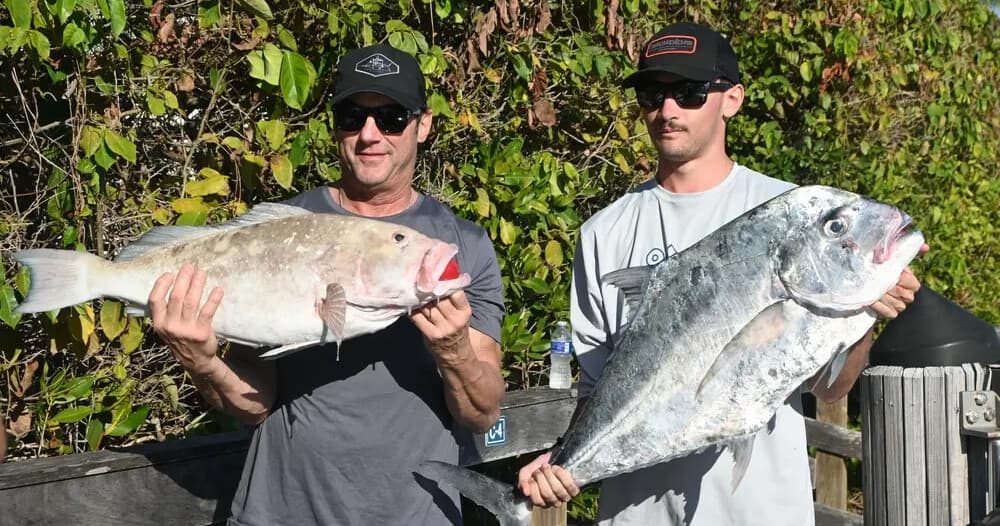 Full Day Offshore Charter from Naples: 12-Hour Gulf Fishing Aboard The Bottom Line photo 1