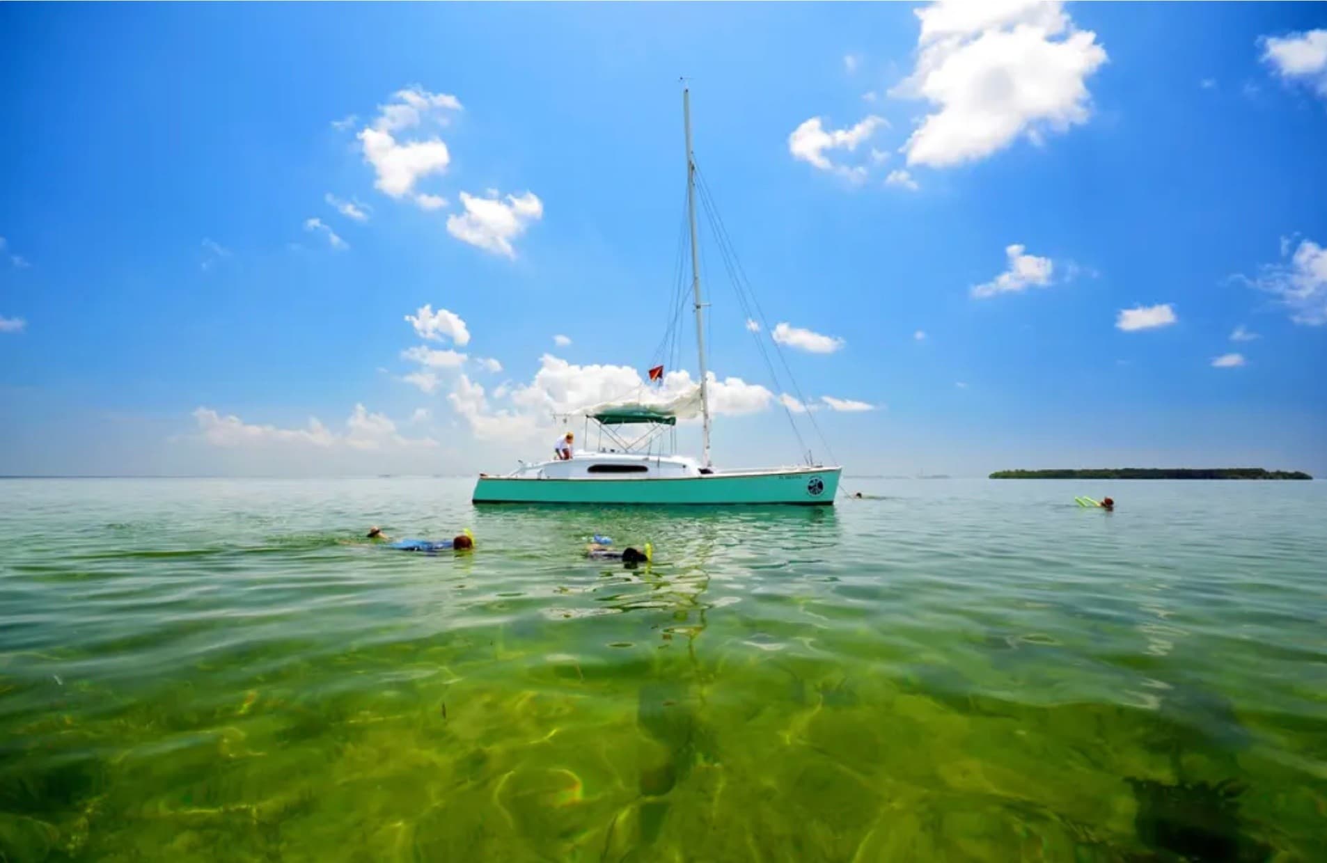 Key West Kayak and Snorkel Aboard Java Cat: Mangroves to Reef