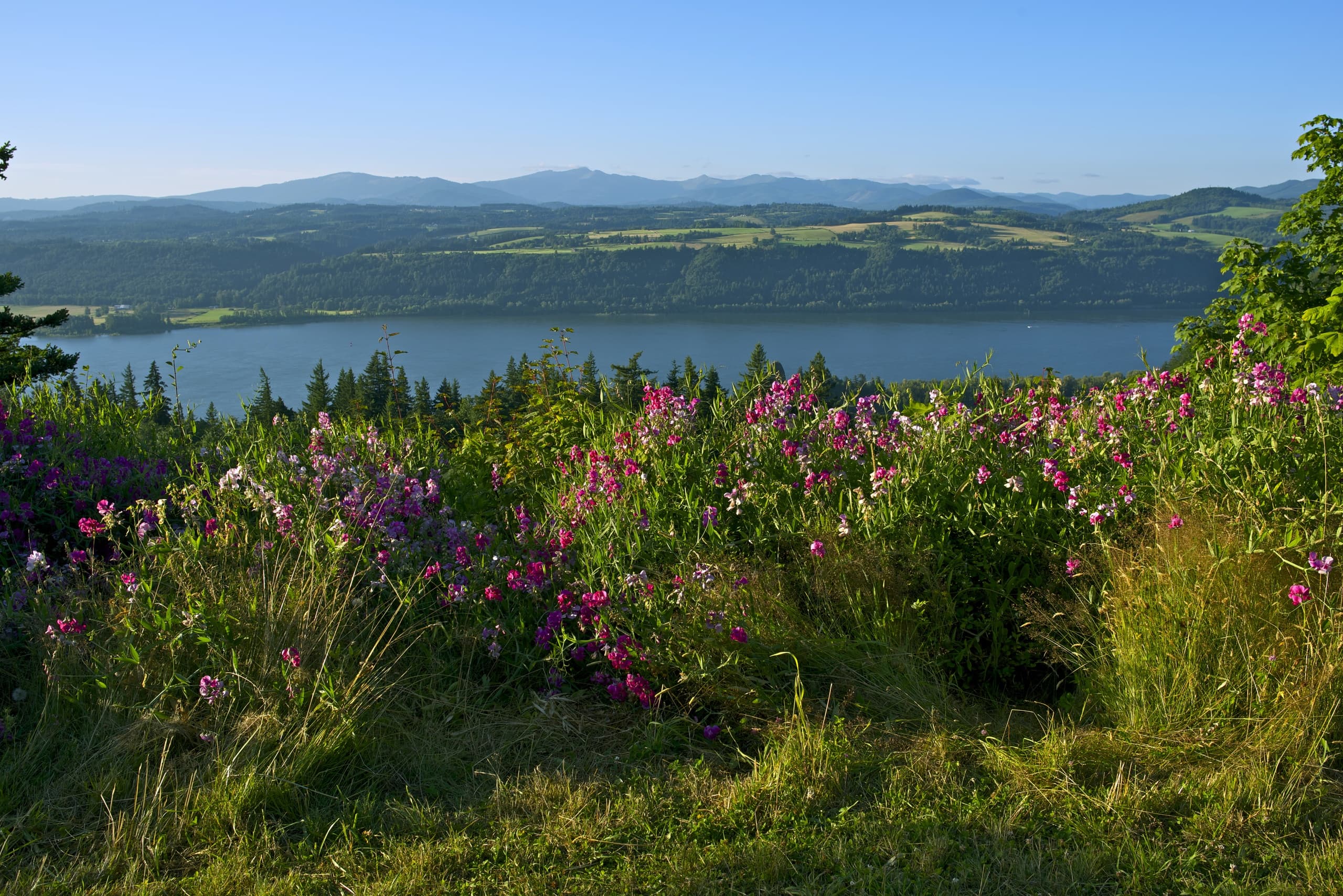 Three-Hour Columbia River Gorge Private Tour from Hood River photo 4