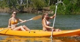 Explore Noosa River by Kayak: A Perfect Paddle for Couples and Adventurers