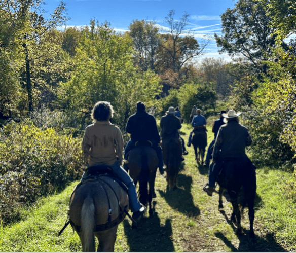 Group of horseback riders on wooded trail under blue sky