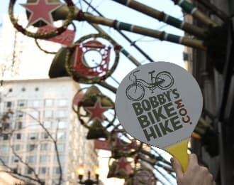 Holiday Walking Tour and Seasonal Sights in Chicago