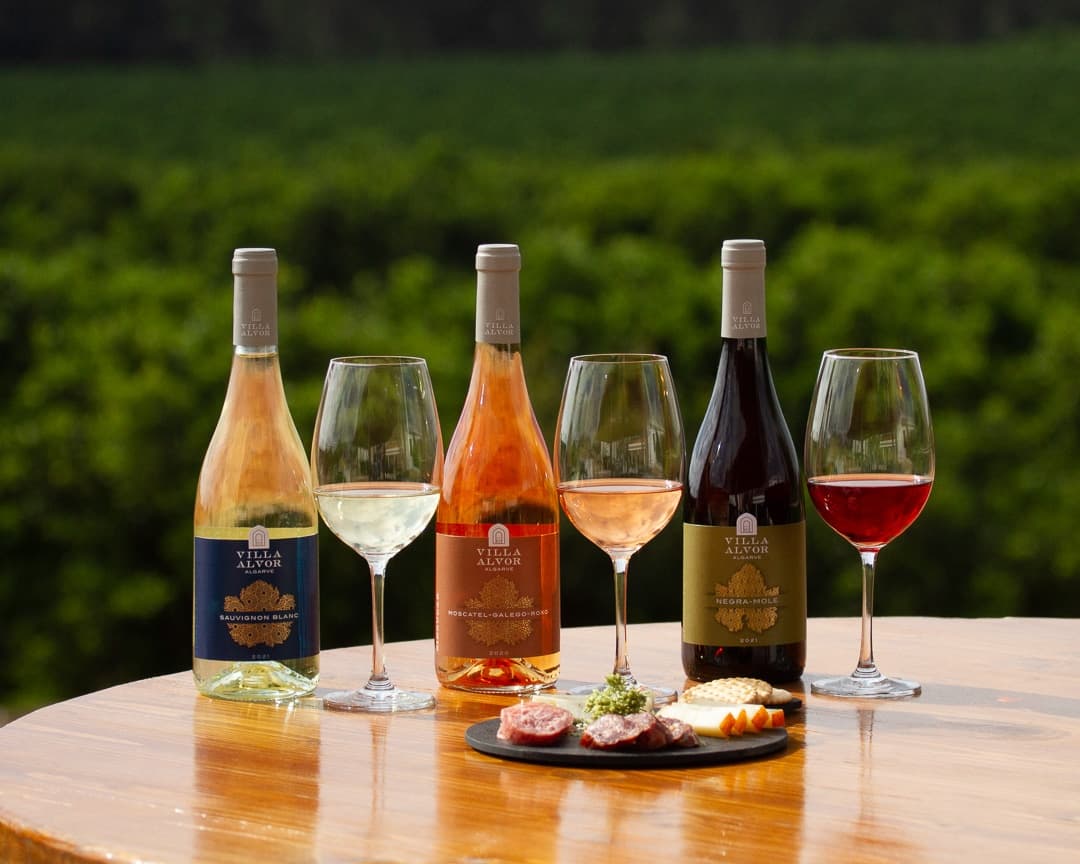 Wine flight and glasses with charcuterie on vineyard tasting table