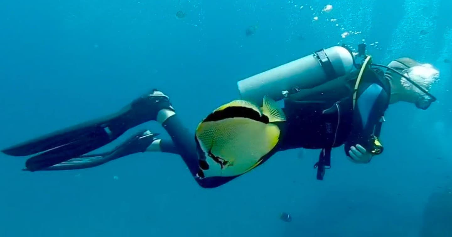 SCUBA Diving at Cabo San Lucas with Orca Dive Baja