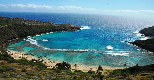 Wide aerial view of crescent bay and cliffside coastal trail in Hawaii