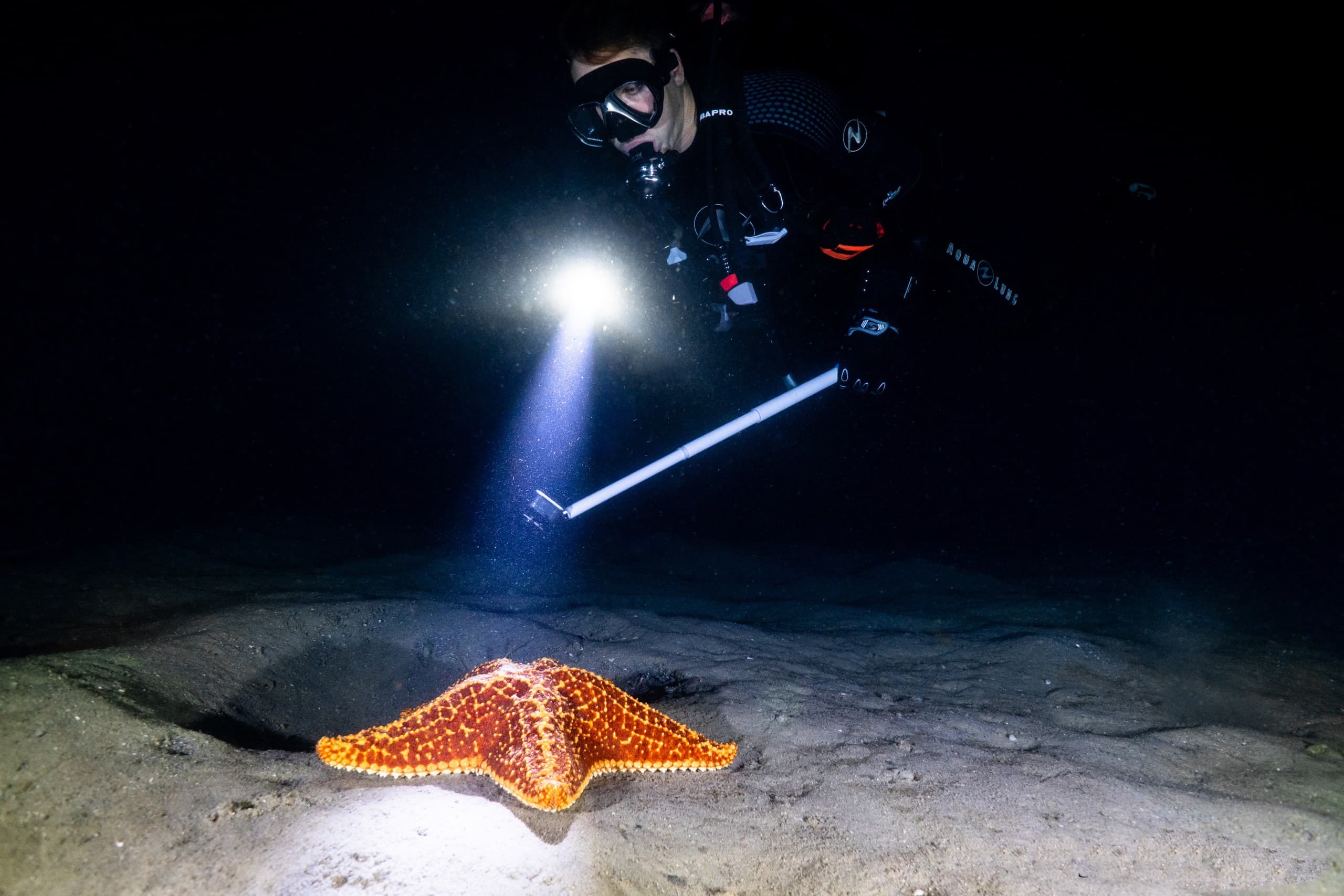 Night Diver Specialty at Blue Heron Bridge: Learn Night Diving in Riviera Beach
