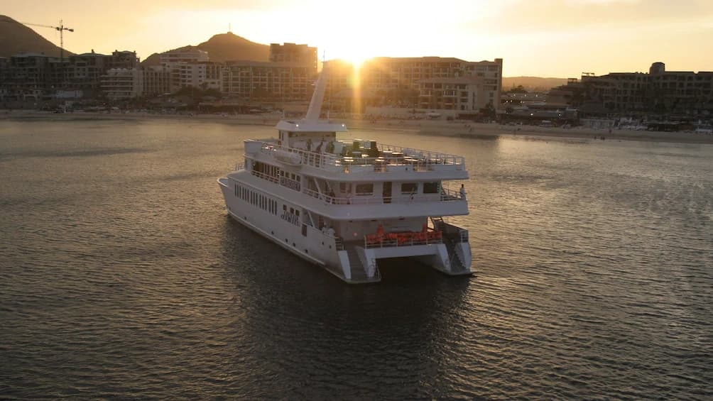 Sunset Luxury Cruise in Cabo San Lucas: Dinner, Live Music & Iconic Views
