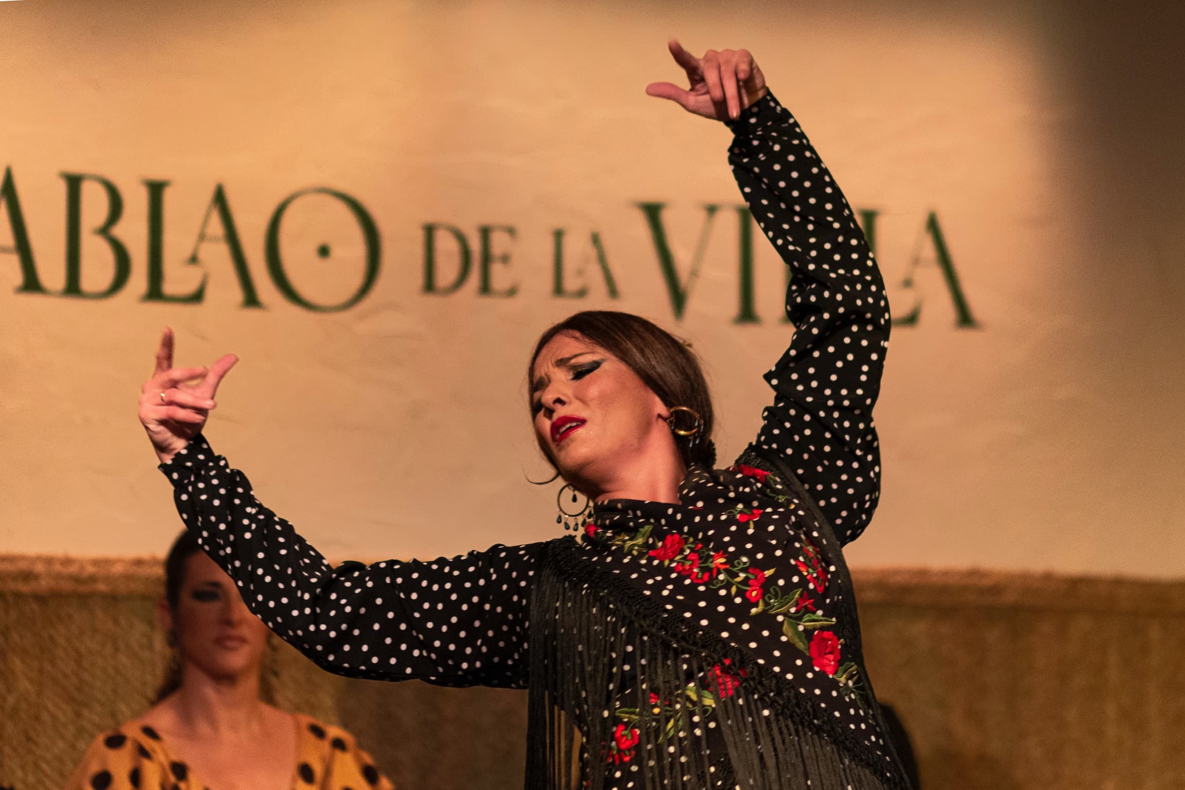 Flamenco and Fine Dining at Tablao de la Villa on Calle Torija 7, Madrid photo 2
