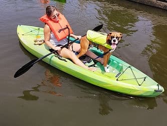 Solo paddler and dog in bright kayak on calm brown water