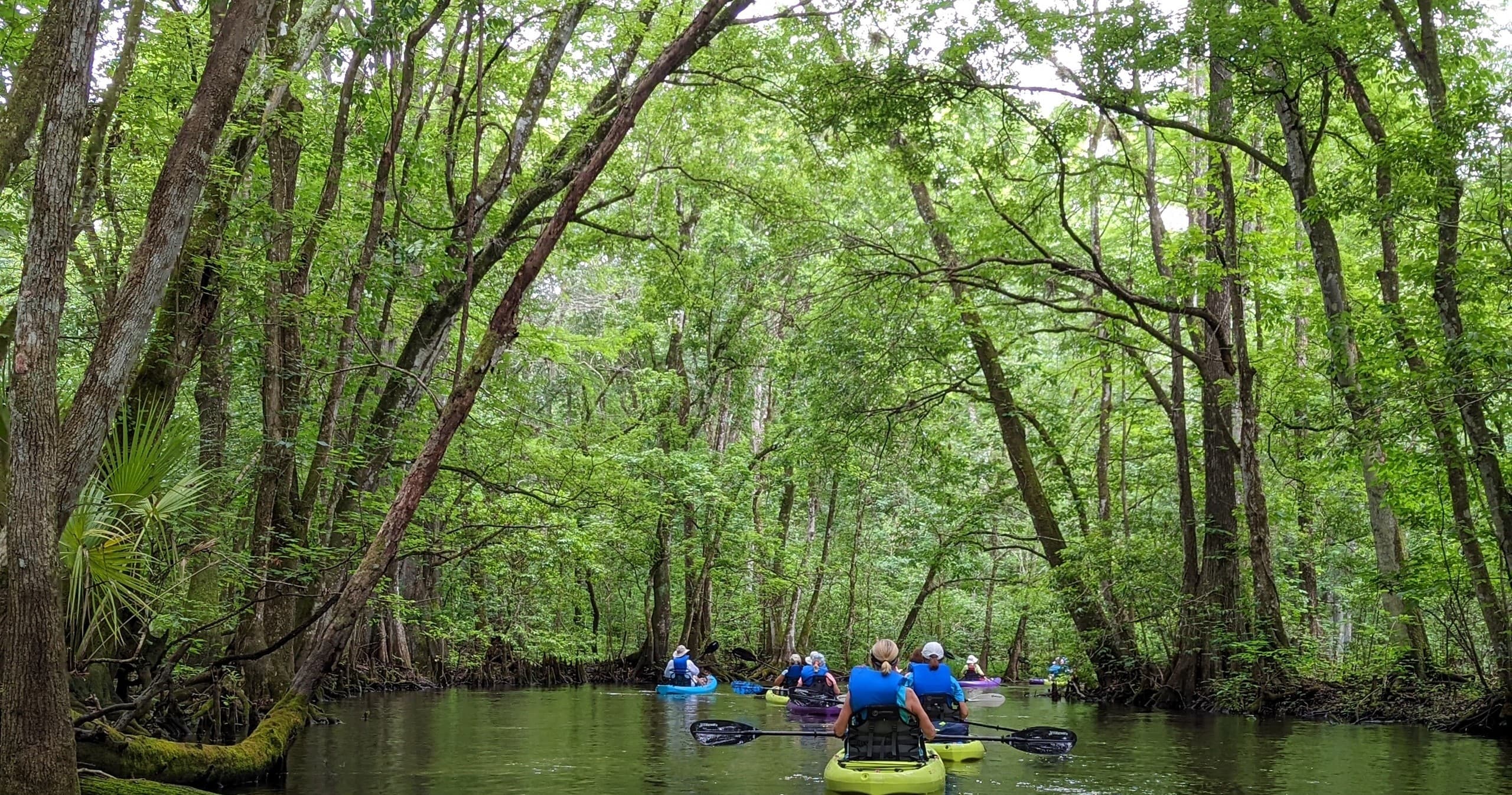 Nature Coast Eco Tours fleet