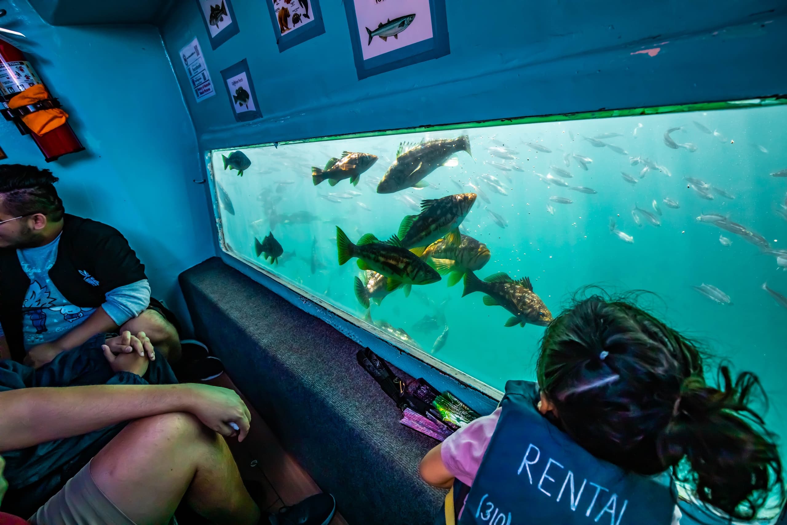 Passengers inside glass-bottom boat observing fish through large window