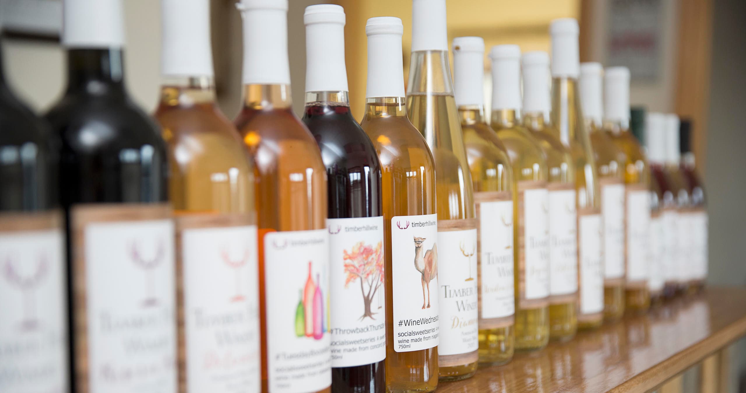Behind the Vines: Timber Hill Guided Tasting in Milton, WI