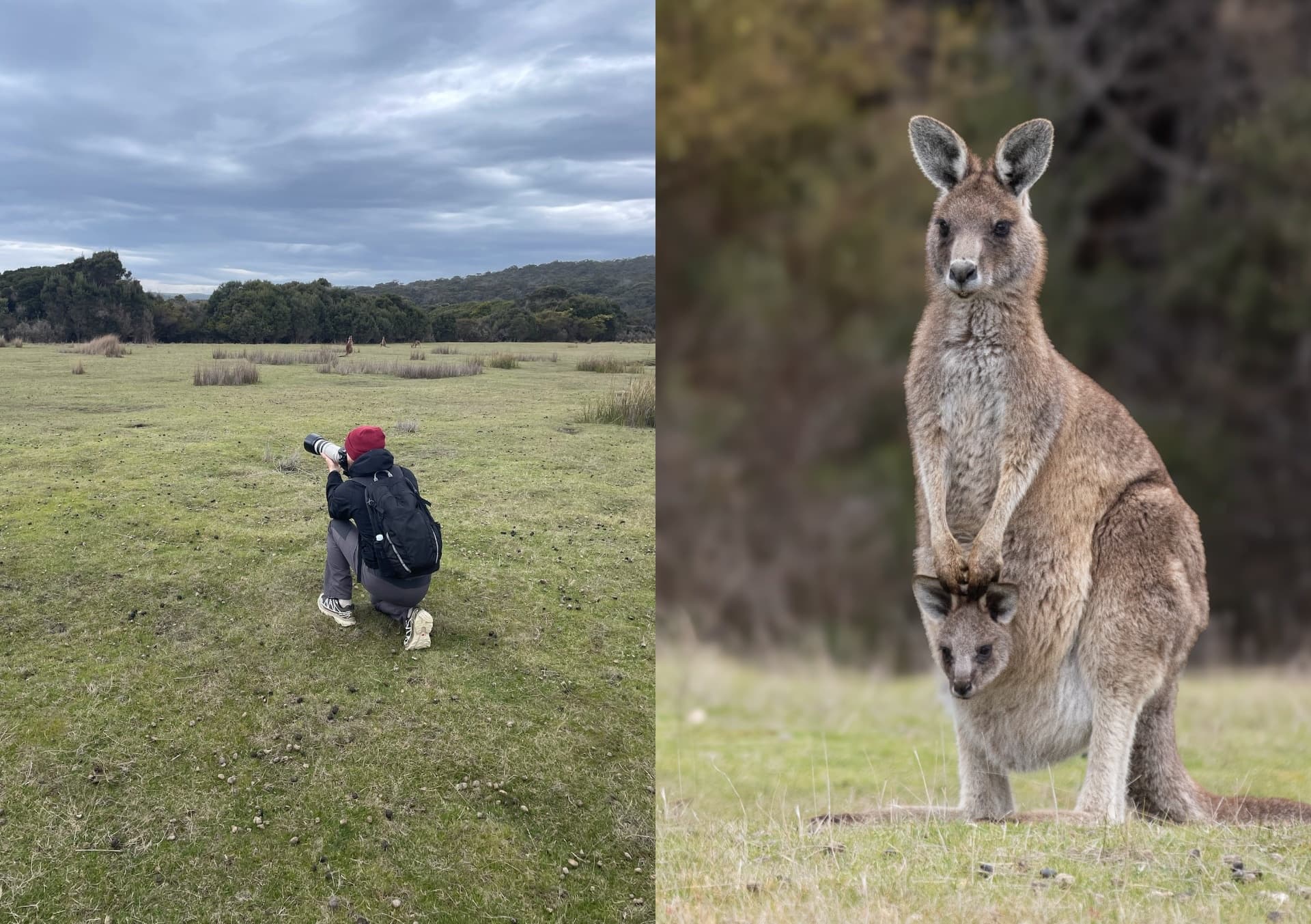 Narawntapu Day Walk: Coastal Wildlife, Lagoons & Tasmanian Picnic photo 3
