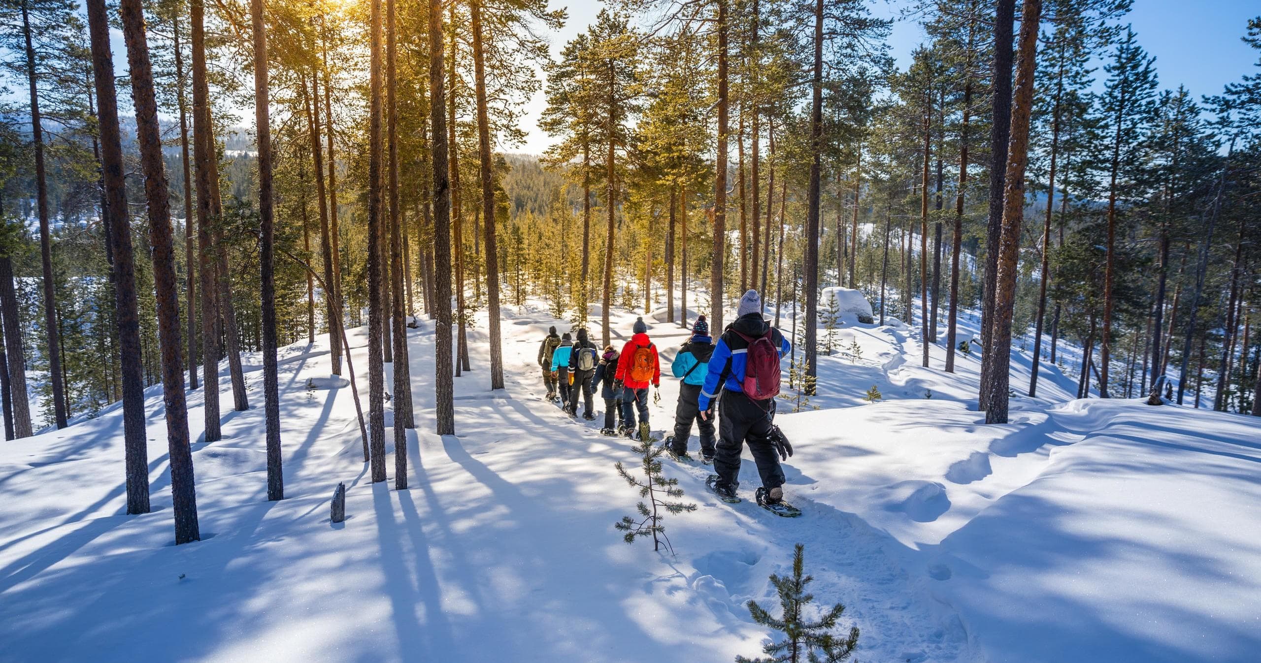 Winter Wildlife & Nature at Wilderness Hotel Nellim