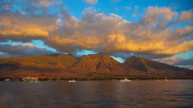 Thanksgiving Dinner Cruise in Ma'alaea with PacWhale Eco-Adventures