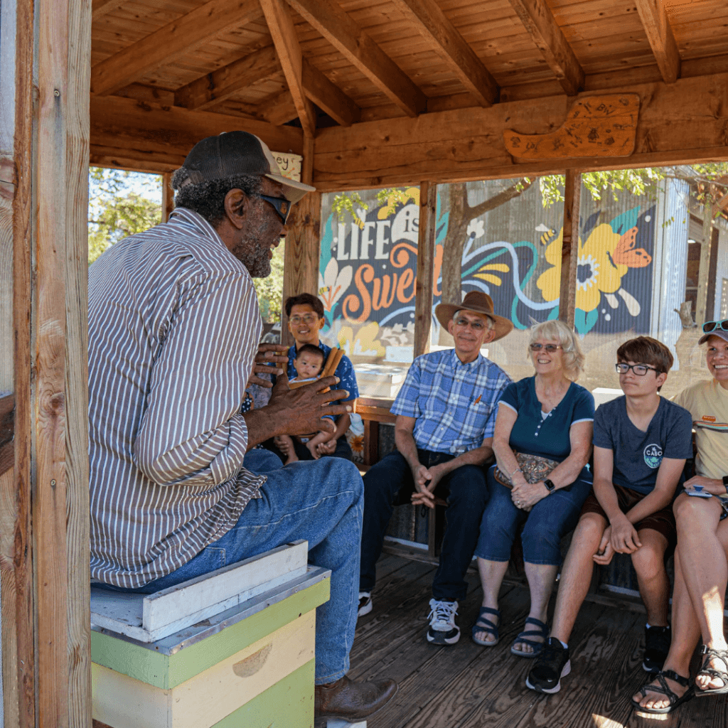 Bee-Worthy Honey Farm Adventure in [Location]