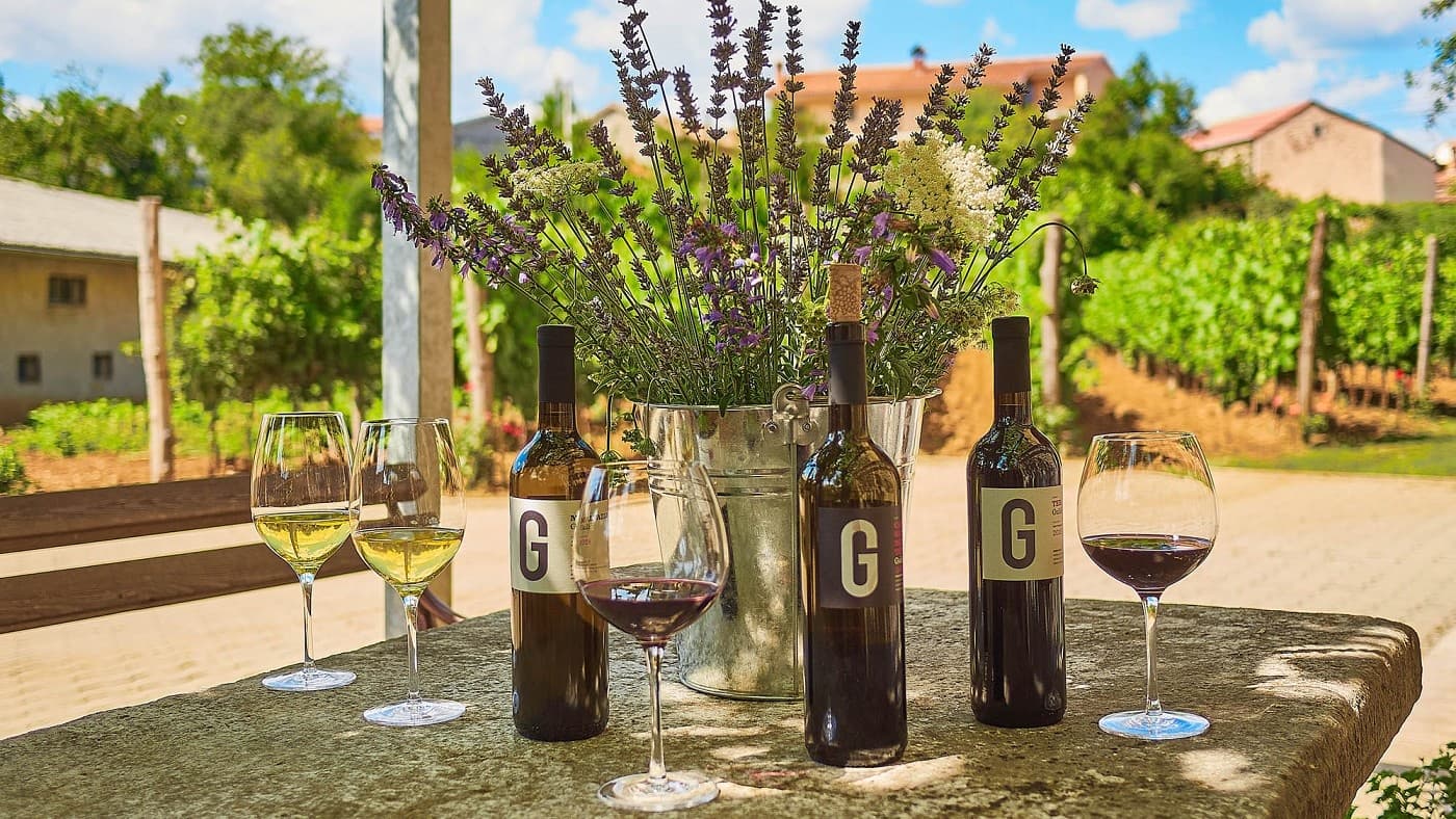Wine Tasting at Gulič Cellar in Kopriva