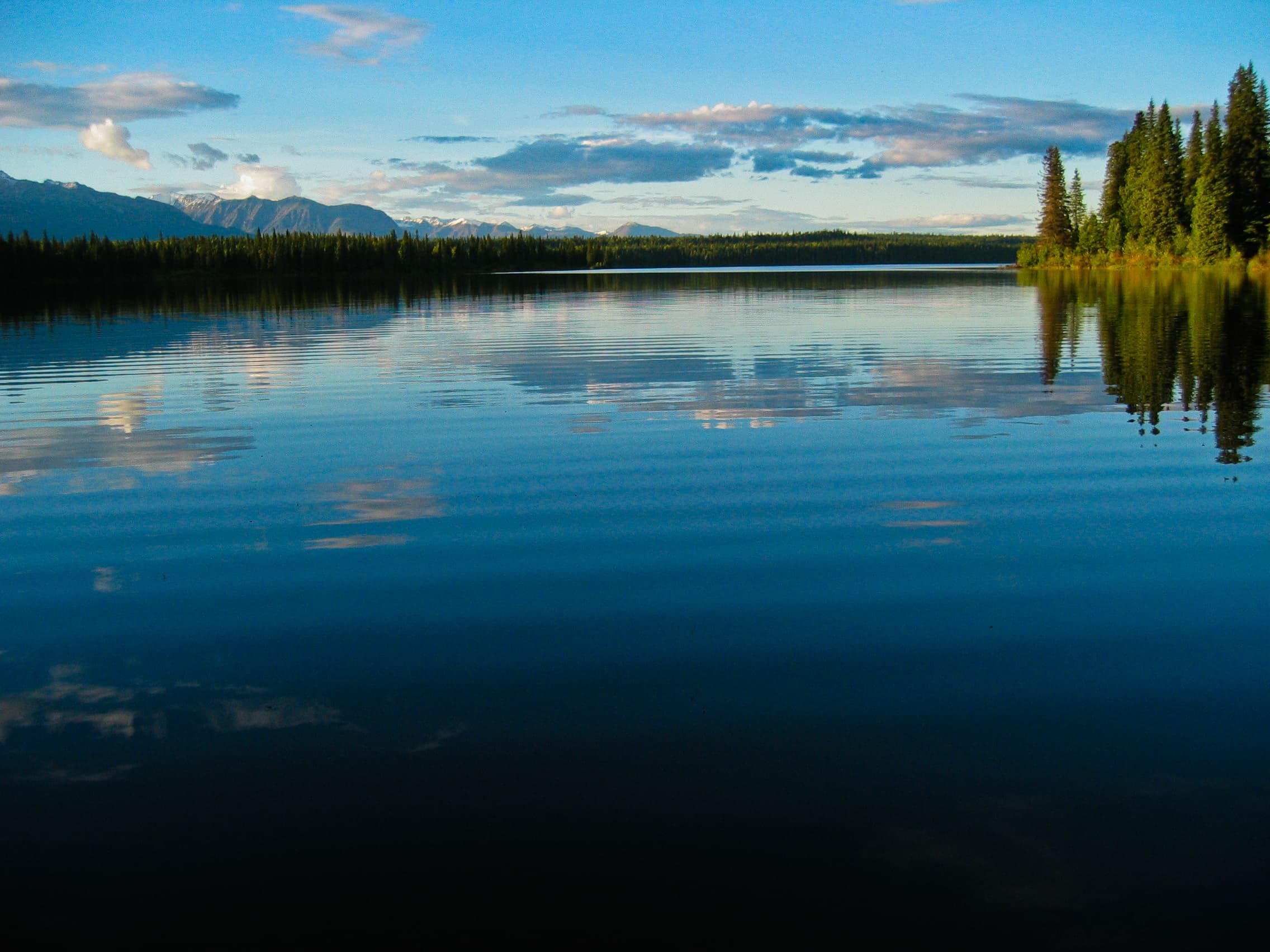 Wildlife & Nature Walk with Alaska Nature Guides at Byers Lake