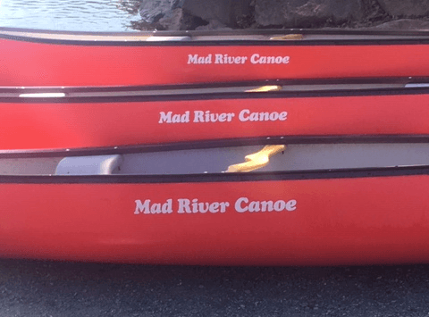 Canoe Rental Adventure at Bothell Landing, WA