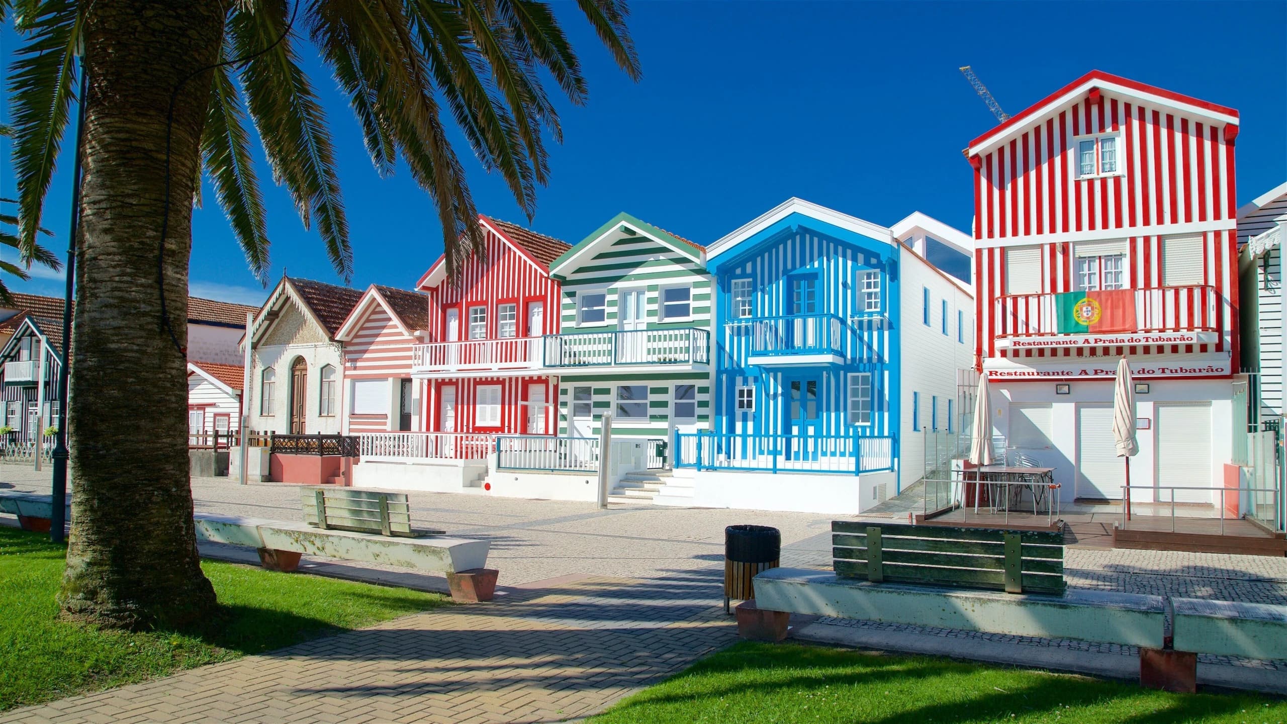 Barra Lighthouse and Costa Nova Van Tour: 90-Minute Coastal Highlights from Aveiro