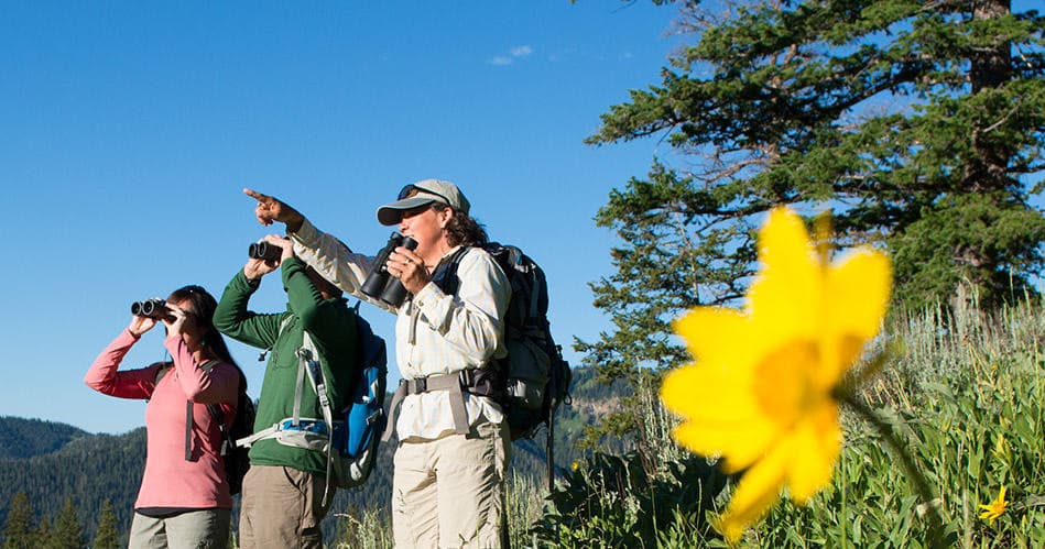 Explore Jackson Hole: Winter Snowshoe Adventures for All Levels