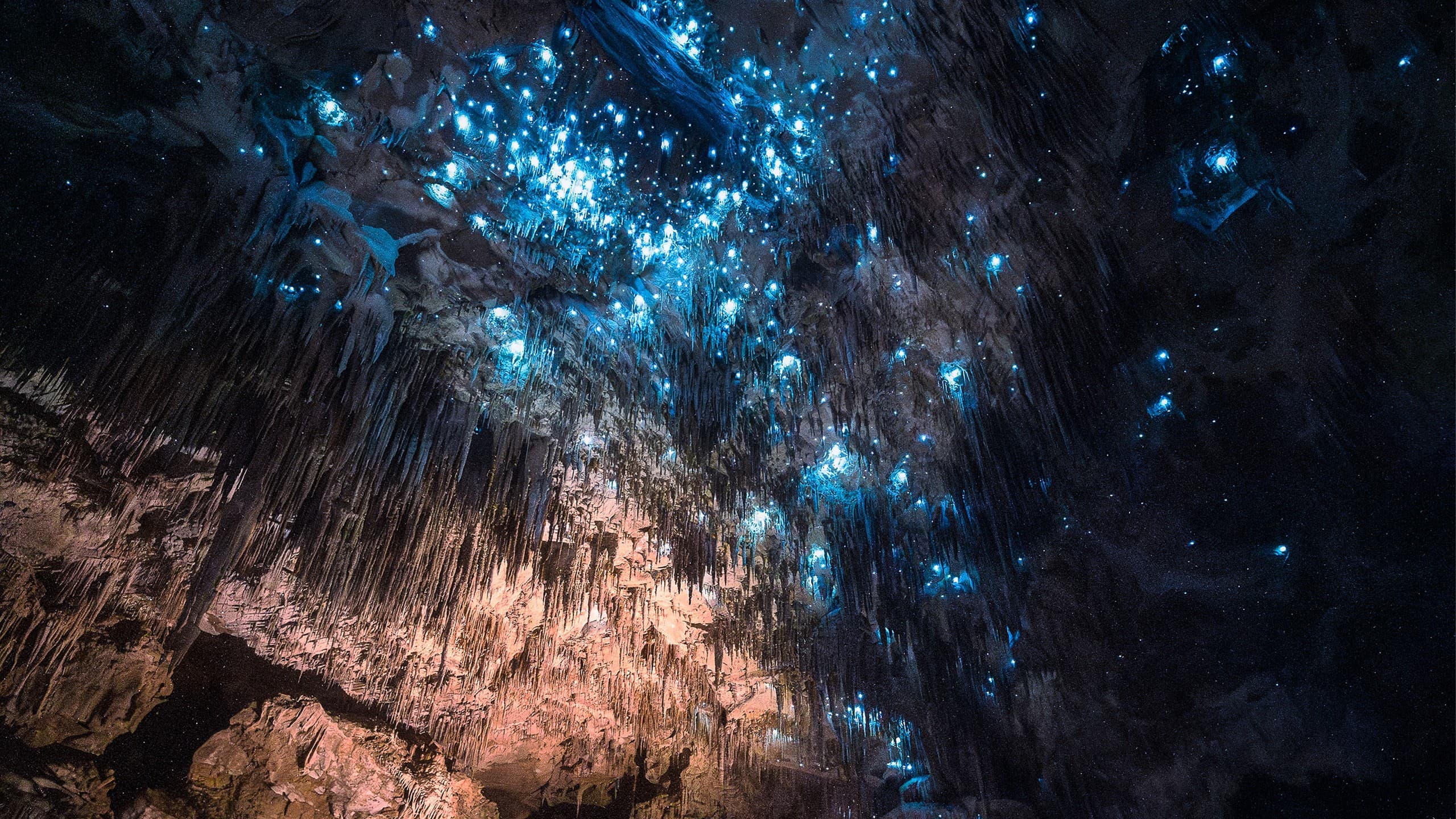 Under the Glow: Waipu Caves Limestone & Glowworm Tour in Northland photo 2