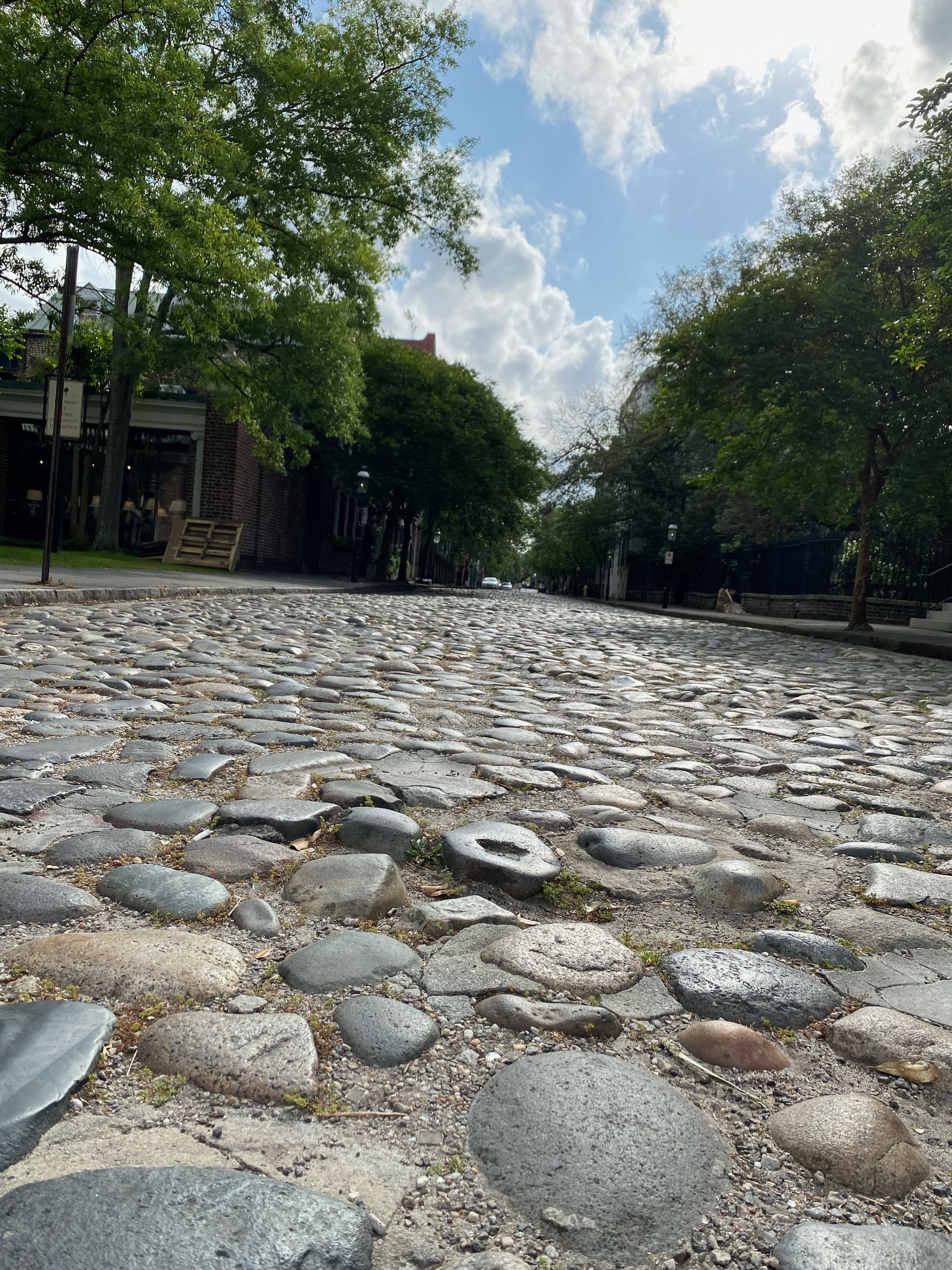 Land Adventures with Walk It Charleston: A Heritage Journey