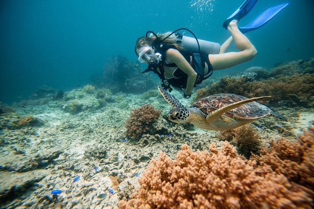 Morning 2-Tank Scuba Dive in Kailua-Kona, Hawaii