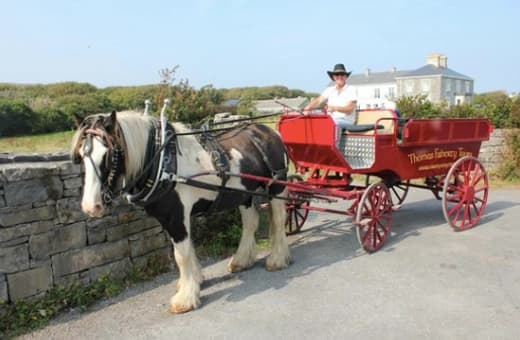 Single workhorse pulling red carriage on coastal stone road