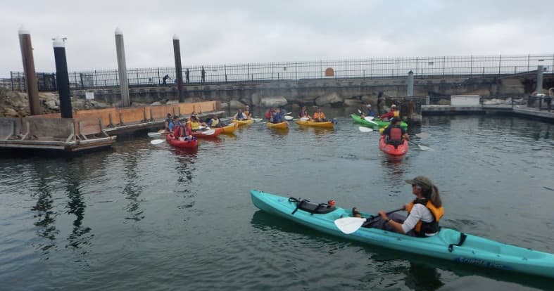 Breakwater Cove Kayak Tour in Monterey, California