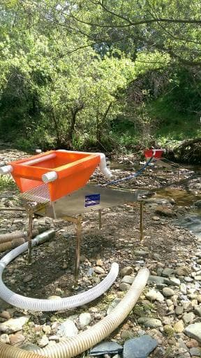 Gold Panning Adventure with California Gold Panning in Jamestown