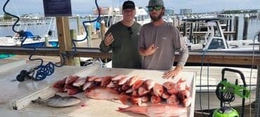 Short Inshore Action: 4-Hour Fishing Charter in Perdido and Mobile Bay photo 1