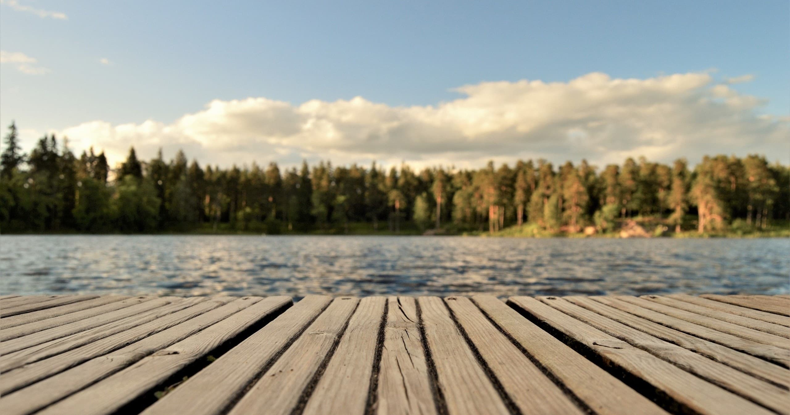 Wooden dock leading to serene lake with forest shore