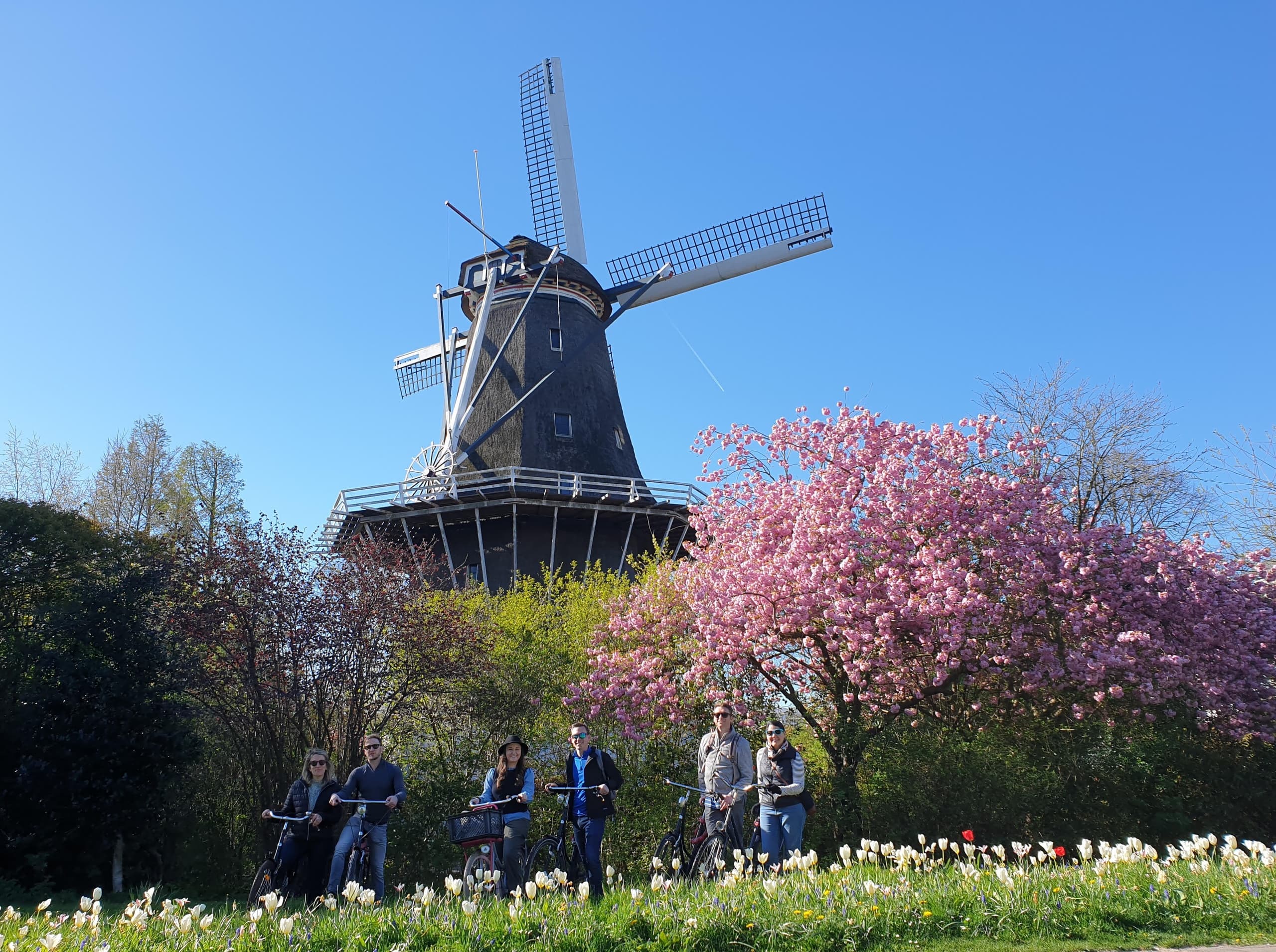 Cyclists by historic windmill with cherry blossoms in park