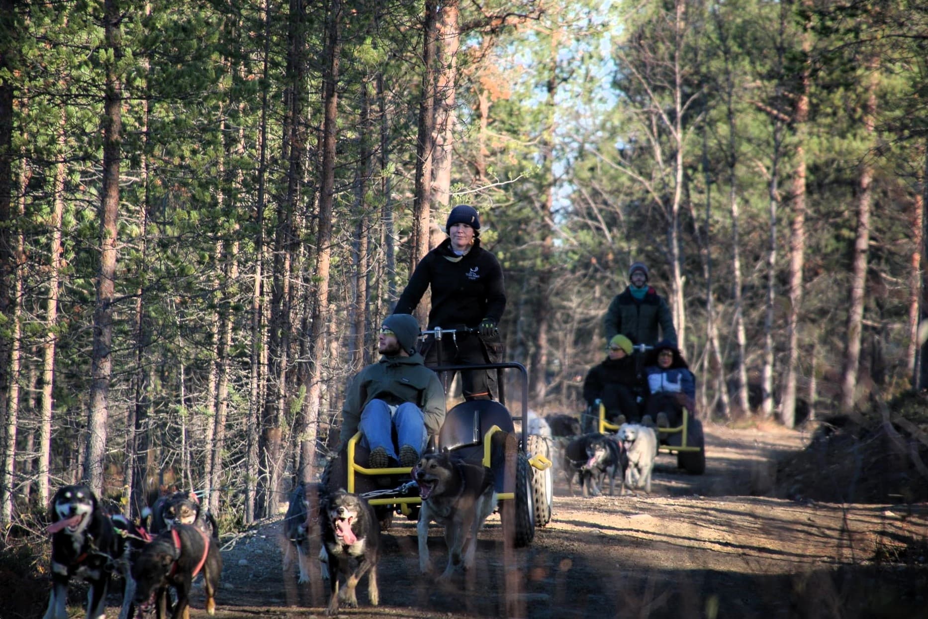 Land Adventures: Husky Experience at Wilderness Hotel - Inari
