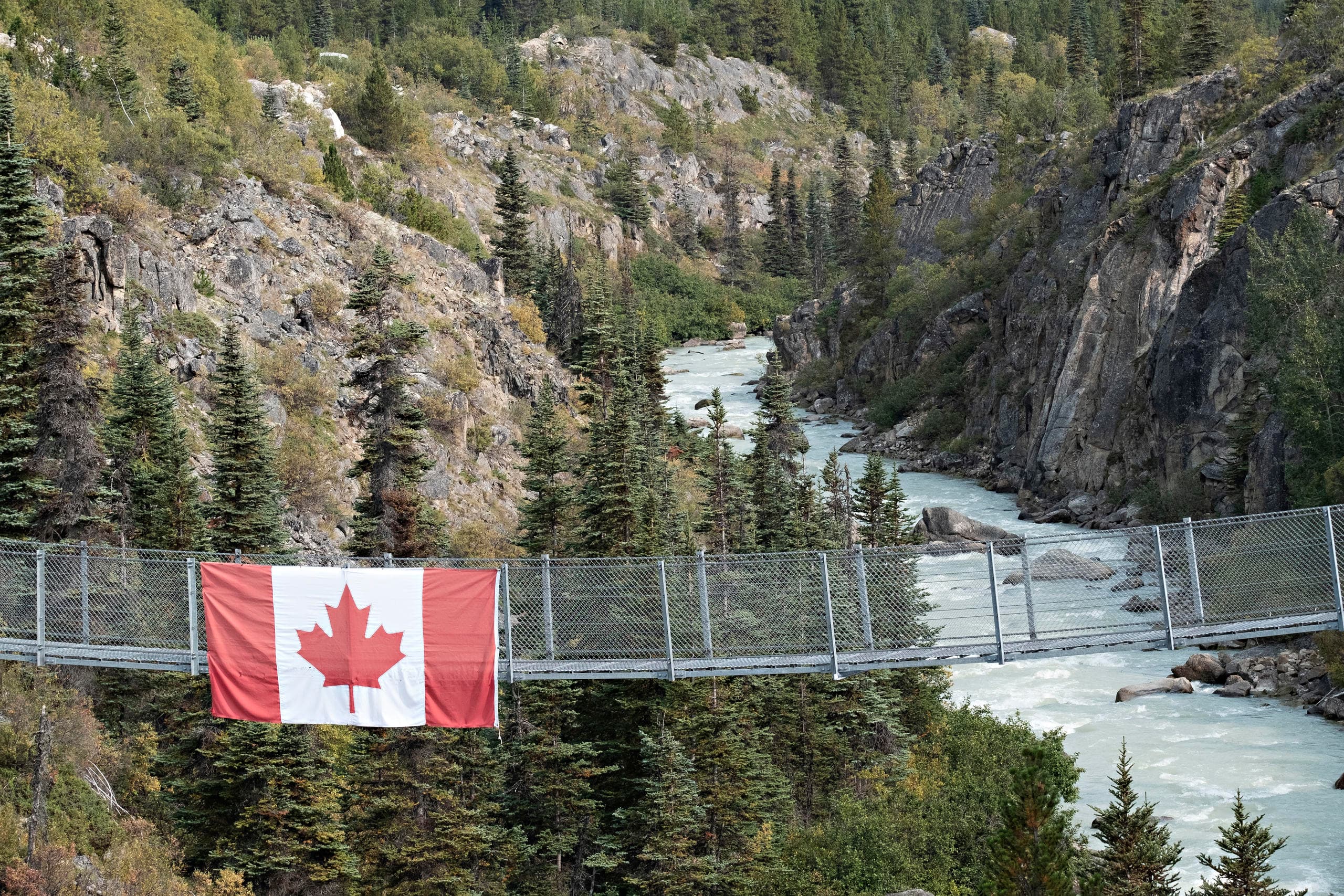 Yukon Suspension Bridge  and Summit Tour - From Skagway | Guided Tour in Haines, Alaska