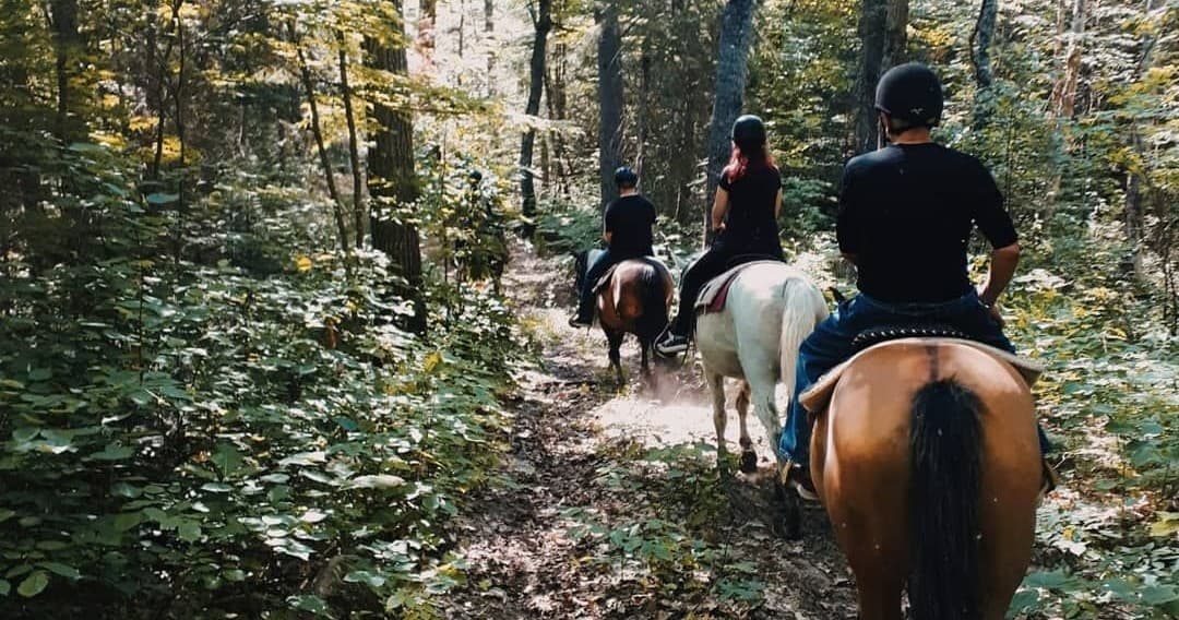 Land Adventure at Von Doeler's Ranch: Big Rock Ride