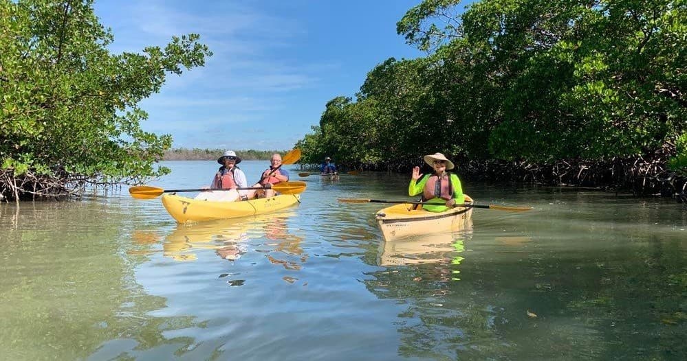 Kayakers paddling clear mangrove inlet in Everglades adventure