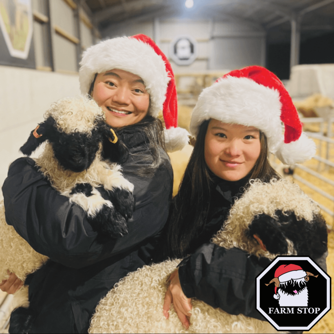 Celebrate Christmas at Aberdeenshire’s Festive Farm Experience Evenings