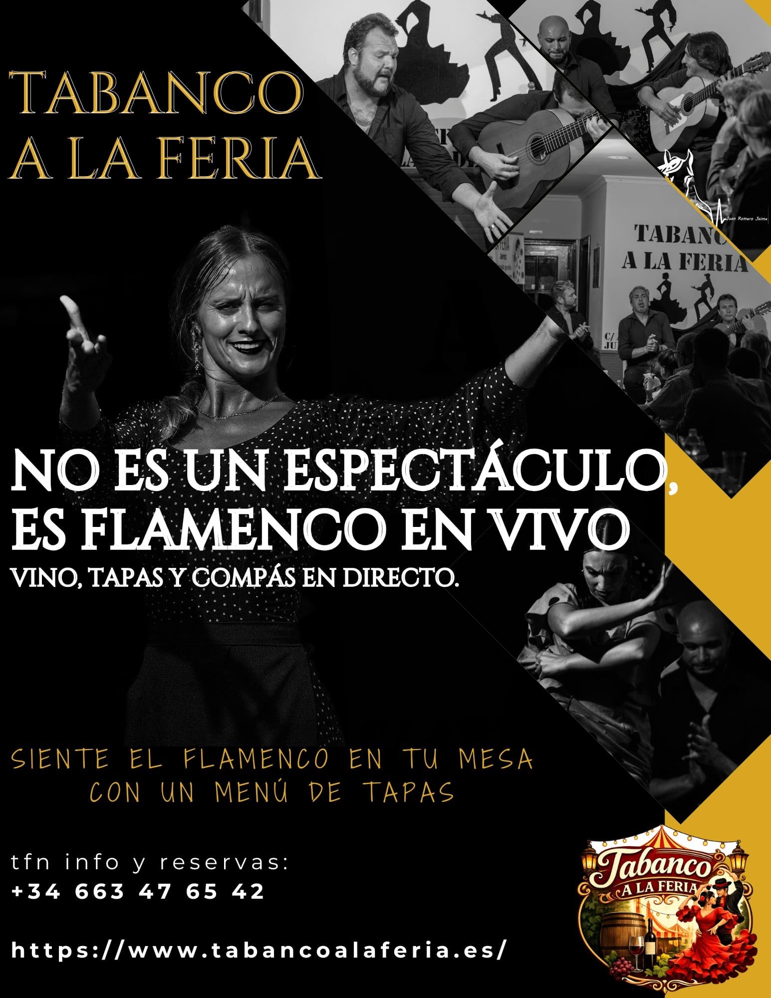 Show y Menú: Flamenco Night & Andalusian Menu in Jerez for €21