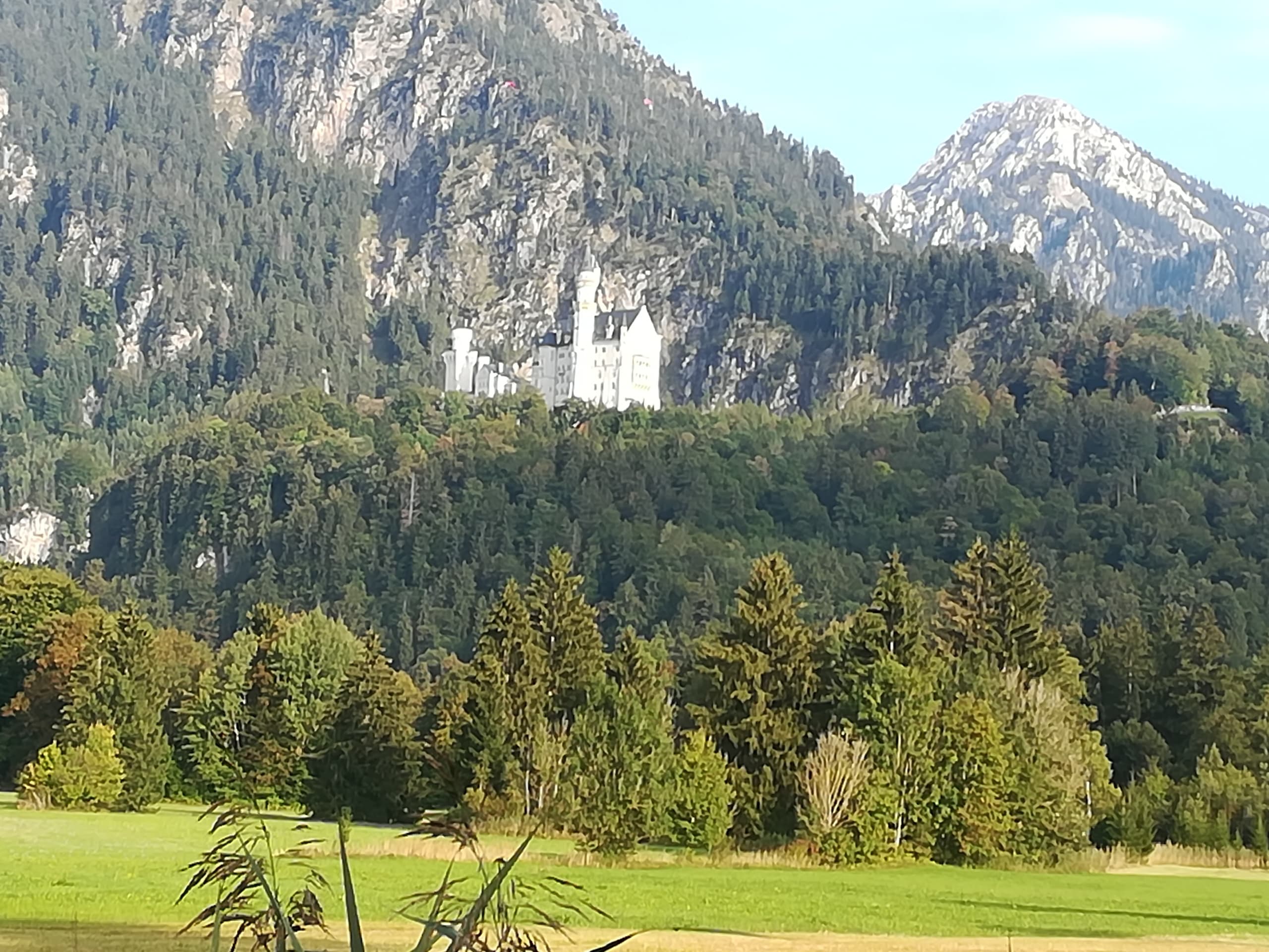 Distant Neuschwanstein Castle framed by forests and grassy meadows